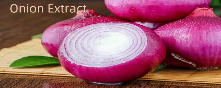 Onion Extract Powder.png